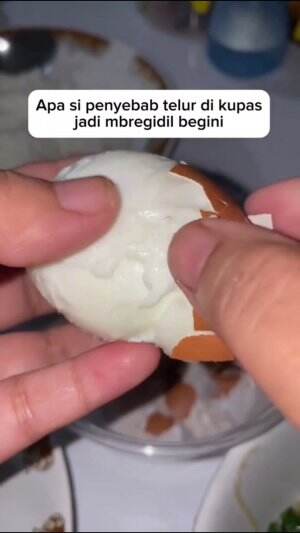 Ngupas kulit telur yang gagal #edukasi #fyp #fypシ゚viral #trending #foryou #RCTIPlus #HOTrctiplus 