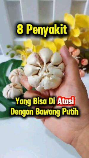 8 PENYAKIT YANG BISA DI ATASI DENGAN BAWANG PUTIH

#tipsandtrik #tips #trik #tutorial #kreatif #hiburan #inspirasi #inspiratif 