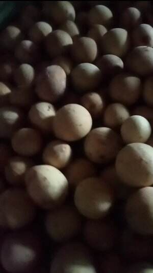 LANSAT GAEES 
 #edisihariselasa
 #telatpos

