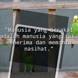 MANUSIA YANG BRRSLAL ADALAH MANUSIA YANG MENERIMA DAN MEMINTA NASIHAT
#motivasi #motivasiislami #nasihat #alquran #hadits #islam #quotesisla