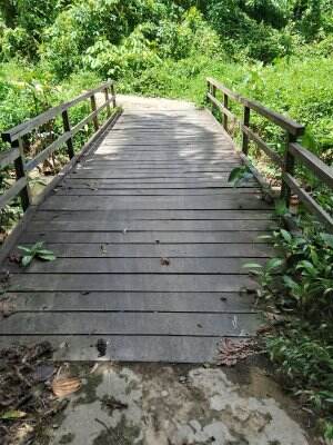 Jembatan penghubung antar kampung di Kalimantan
#RCTIPlus 
#HOTrctiplus 
