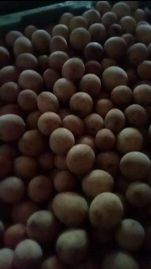 LANGSAT PONTI 
 #edisiharisabtu
 #jualanlagi
