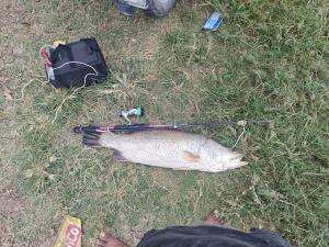 Boys life #mancing #shortplus #1TRENDING  
