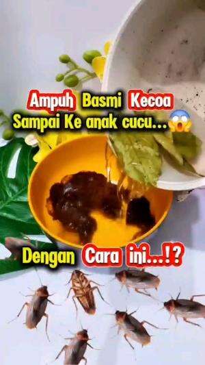 AMPUH BASMI KECOA SAMPAI KE ANAK CUCU, DENGAN CARA INI

#tipsandtrik #tips #trik #tutorial #kreatif #hiburan #inspirasi #inspiratif 