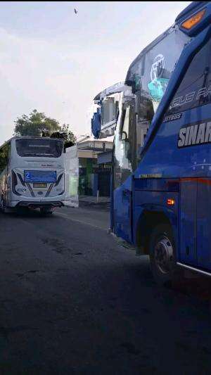 Telolet Bus pariwisata  #telolet #busmania #pariwisata #omnibuslaw 
