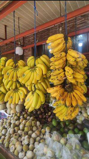 dagangan rame buah segar