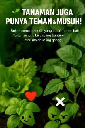 #Berkebun #fyp #fypシ゚viral #trending #foryou #RCTIPlus #HOTrctiplus 