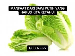 #edukasi #fyp #fypシ゚viral #trending #foryou #RCTIPlus #HOTrctiplus 