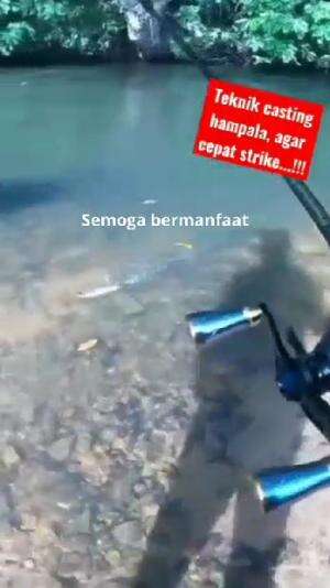 silahkan dicoba tehniknya  #casting  #mancing  #RCTIPlus  #HOTrctiplus  #HomeOfTalentRCTIPlus 