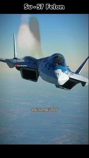 kenapa SU-57 gak layak disebut jet tempur generasi 5 ? 

#su57 #jetfighter #pesawat 