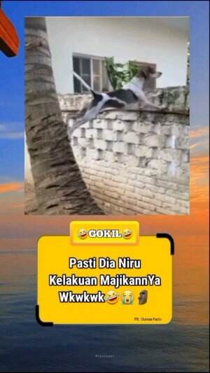 Dapet bahan gosip baru nih😭🤣🤣 #videolucu #videongakak #videohiburan