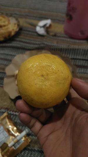 Jeruk apa ya ini? #jeruk