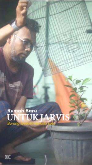 Kandang burung menyatu dengan Tanaman

 #Lovebirds  #cutestanimal  #funny  #healthy  #Happy today  