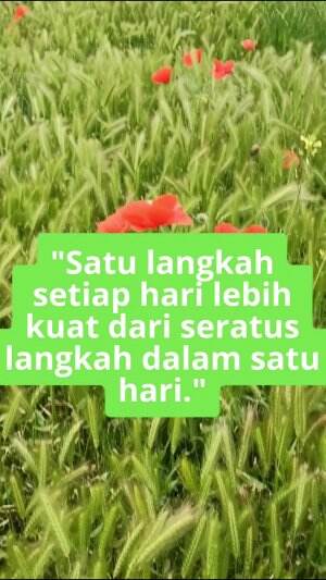 Satu langkah setiap hari itu jauh lebih berharga dari pada seribu langkah sekaligus #quotes  #motivasi #semangat #gigih #sukses  #jedamergaw