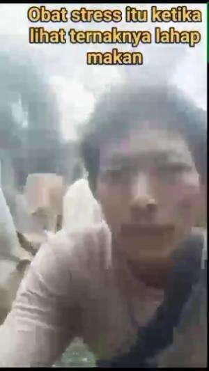 hapy aja