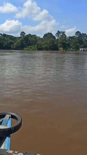 sungai Barito Kalteng
 #sungaibaritobanjir 