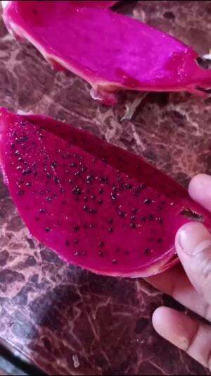 Bikin mie merah dari buah naga #cooking #edukasi #fyp #fypシ゚viral #trending #foryou #RCTIPlus #HOTrctiplus 