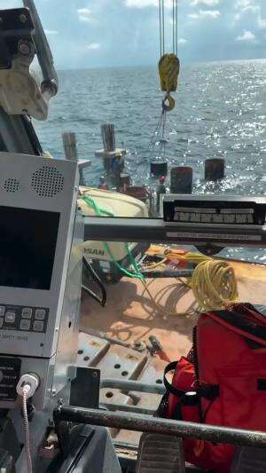 Drop some lunch please #