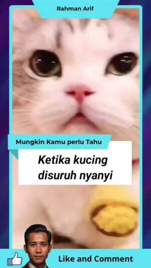 Ketika kucing disuruh nyanyi

‎#rcti #RCTIPlus #faktamenarik #fakta #faktaunik #faktadunia #reels #fyp #viral
‎