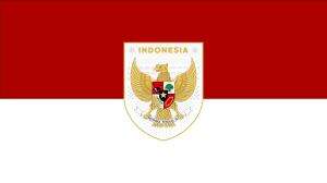 presentasi tema timnas Indonesia
 #powerpoint  #timnasday  #timnasindonesia  #timnas 