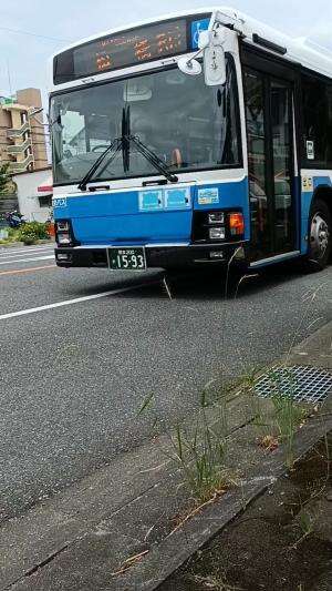 cara naik bis di jepang #japan #japanvlog #naikbusjepang #tutorial #bis #damri #bisdamri #kumamoto #jepang #tokuteiginou #kenshusei