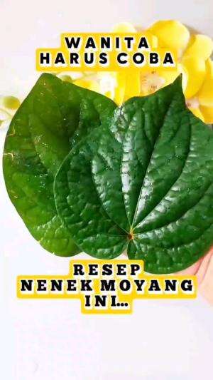 WANITA HARU COBA RESEP NENEK MOYANG INI

#tipsandtrik #tips #trik #tutorial #kreatif #hiburan #inspirasi #inspiratif 