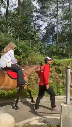 Kudanya kuat walaupun lagi hamil  #Kudanya Versi Apa Nih?  #masyaallahtabarakkallah  #NooraKhadijahAlKhered  #RCTIPlus  #contentcreatorpemul