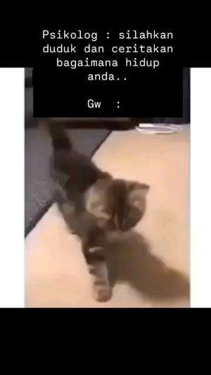 JERITAN HIDUP

#kucinglucu #kucingoyen #catlovers #pencintakucing #kucinggemoy #kucinggemes #sahabarkucing