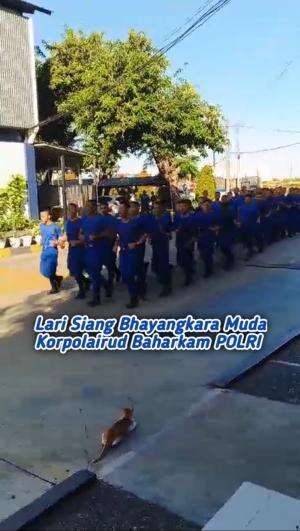 Lari Siang wajib 
Bhayangkara Muda Korpolairud Baharkam POLRI di Mako Korpolairud..
 #Variety Abdinegara 
 #bhayangkara 
 #Siapa yang paling