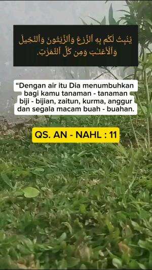 Dengan air hujan dari langit. Dia ( allah ) menumbuhkan biji bijian dan juga tanaman.