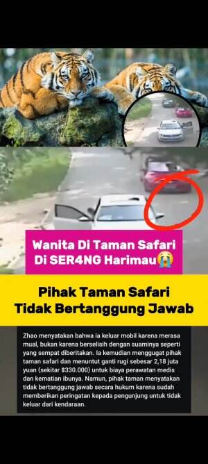 Wanita Di taman Safari Di Ser4ng Harimav😱Pihak Taman Safari Tidak Bert4nggung jawab😱 #fypシ゚viral #fyp 
