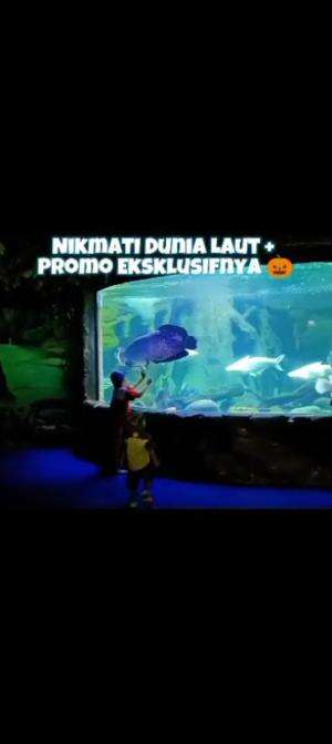 Bag. I
liburan di SeaWorld happy sekali...
#weekend #healing #reviewtempatliburan #happykids #seaworld #RCTIPlus #HOTrctiplus #fyp 
