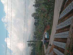 akibat hutan gundul