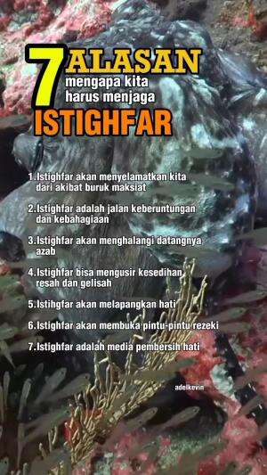Ini dia 7 alasan mengapa kita harus rajin istighfar.No 4 yang sering tidak kita sadari... #NasehatIslami#KataNasehat#fypシ゚viral #islam#vidio