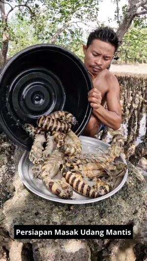 Persiapan Masak Udang Mantis #Masak #yang suka udang merapat!! #RCTIPlus 