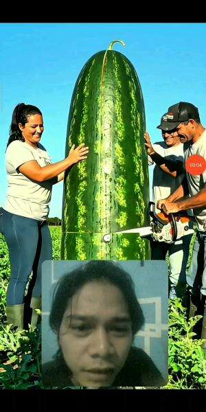 Waduhh😱Kok Bisa Se Gede Itu Ya Guyss😬
#fypシ゚viral #reaction #funny #RCTIPlus #shortplus #semuaorang 