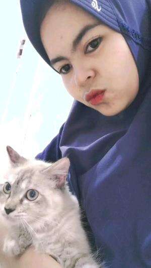 Kucing tante² #RCTIPlus  #short 