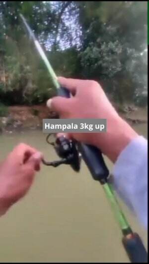 strike hampala 3kg up
 #casting  #castinghampala  #RCTIPlus  #HOTrctiplus  #rcti 