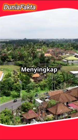 Lima Fakta Bali #stasiunbalapan  #RCTIPlus 