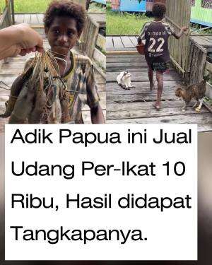 Adik Papua ini jual udang hasil tangkapannya per-ikat 10.000.
 #anakpapua
 #udang
 #jualudang
#tanahemas