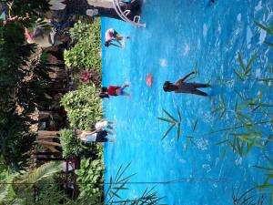 berenang di ngrembel park 


 #wisata #Renang #Viral 