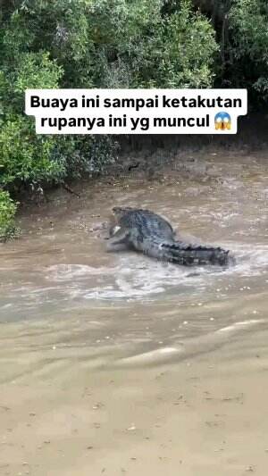 ternyata ada bapaknya..
 #Viral  #trending 