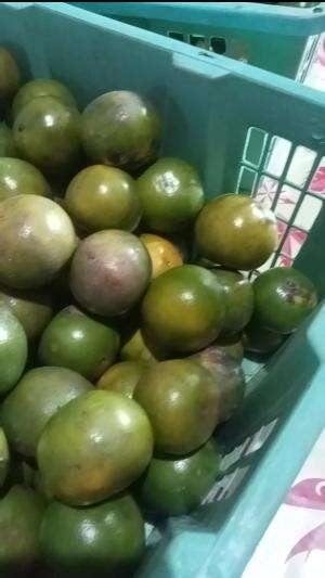 JERUK NYA MANIS 
 #murahmeriah
 #ayodipesanyagaeess
