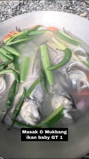 Masak & Mukbang ikan Baby GT #MASAKIKANTONGKOLDENGANBUMBUCABEMERAH  #Mukbang 