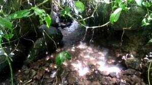 Menikah Denganku 