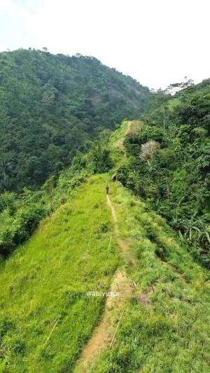 Cocok banget nih buat yang pemula banget🥰  #puncakgajah  #puncakpangaburan  #lewihejo  #gunungkuta #puncak2  #fyp  #fypシ゚viral  #fypシ  #fypa