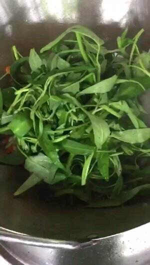 Tumis Kangkung 🌿🌱