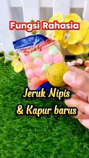 FUNGSI RAHASIA JERUK NIPIS & KAPUR BARUS

#tipsandtrik #tips #trik #tutorial #kreatif #hiburan #inspirasi #inspiratif 