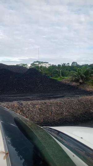 MANTAU LAPANGAN 
 #stockfilebatubara
