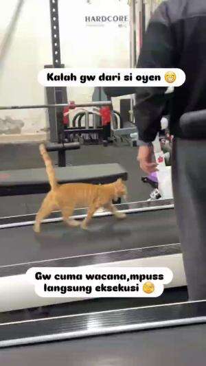 Olahraga yuk !!! Biar Sehat